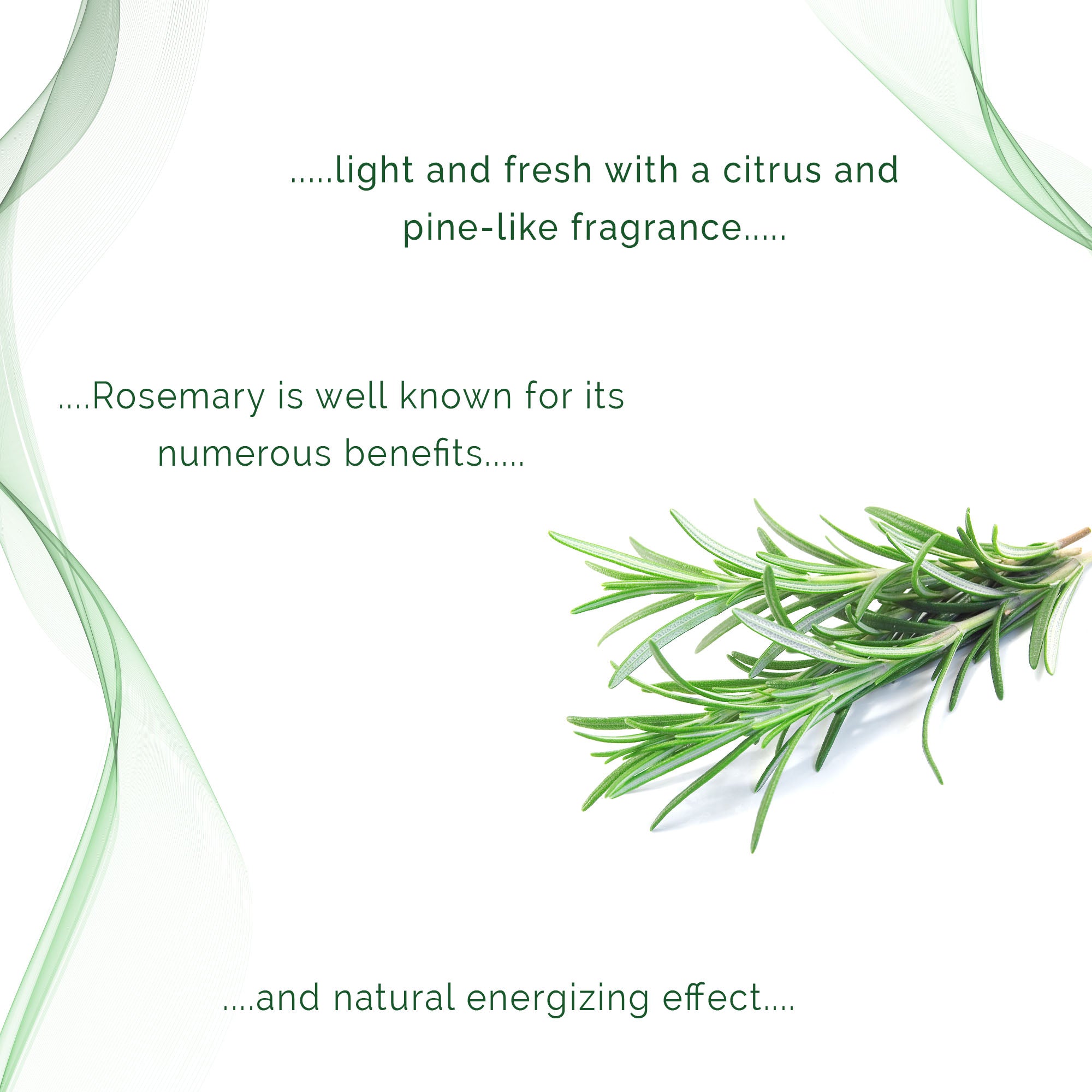 Ultrasonic Gel | 80g (2.8oz) | Rosemary Scented | 2-Pack - Medvat