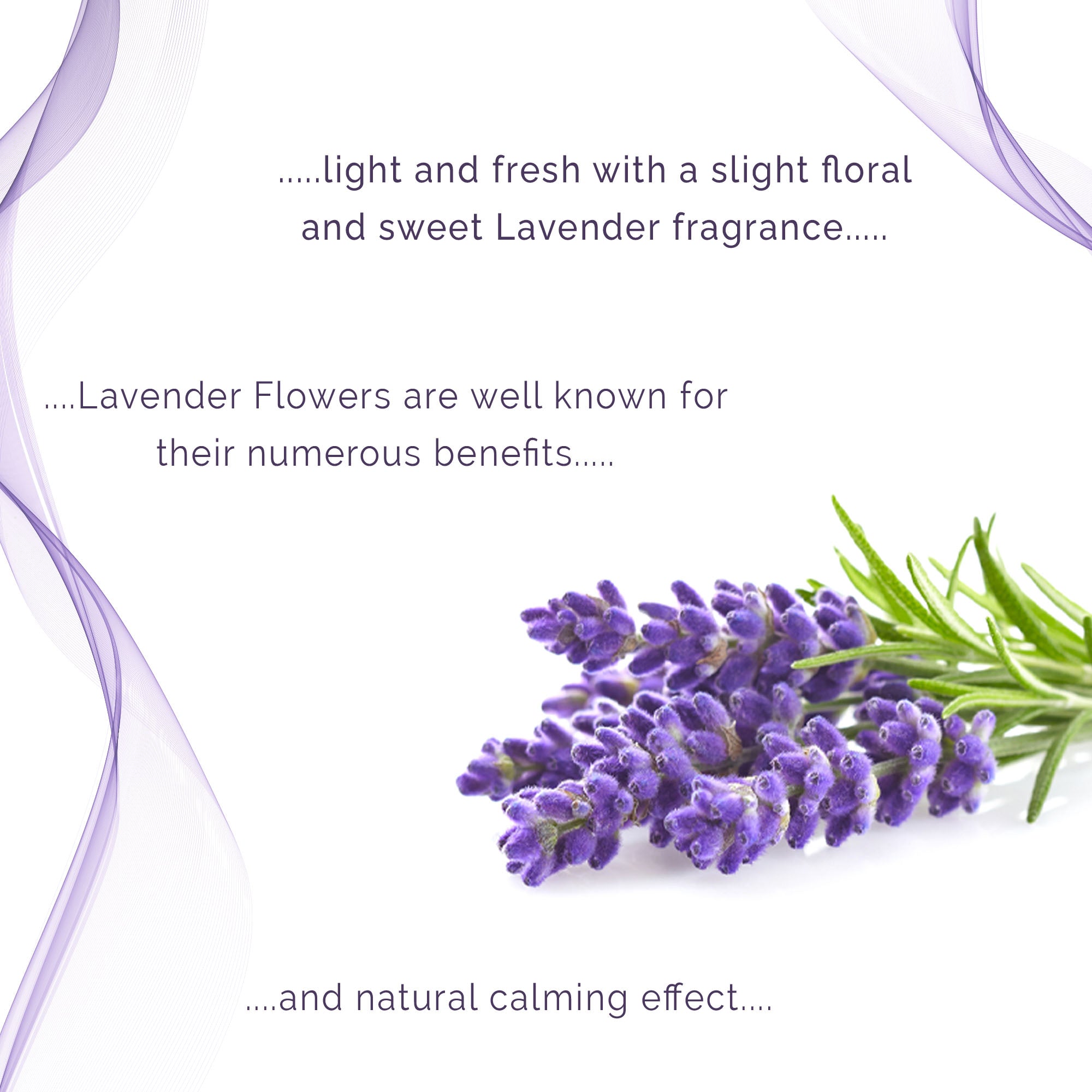 Ultrasonic Gel | 80g (2.8oz) | Lavender Scented | 2-Pack - Medvat
